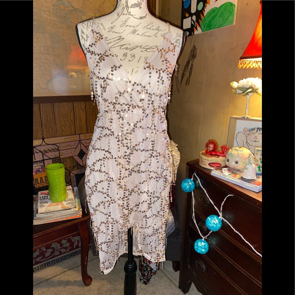 NWOT Nude colored sequins covers dress. Beautiful. The sequins dangle throughout
